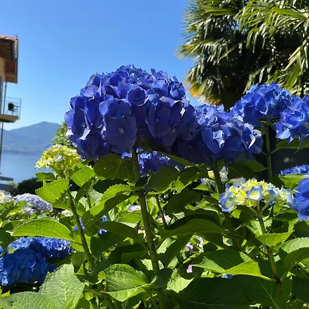 Apartment Paradiso Cannero Riviera