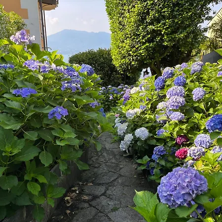 Paradiso
