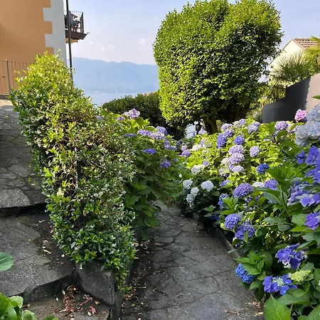 Lägenhet Paradiso