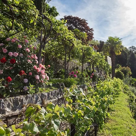 Apartment Paradiso Cannero Riviera