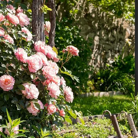 Paradiso شقة كانيرو ريفييرا